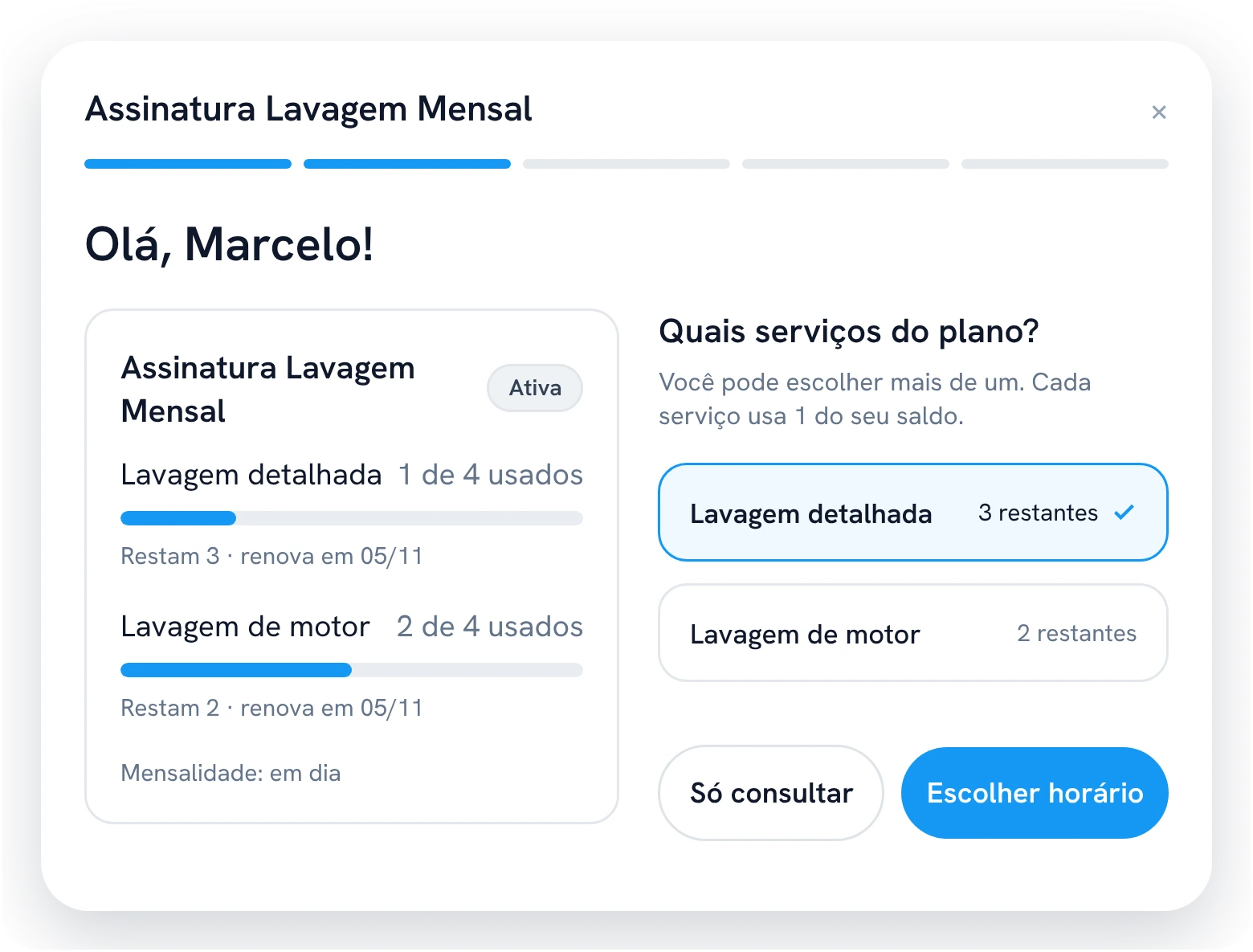 Na vitrine, o cliente vê os usos de cada serviço da assinatura, quanto resta e escolhe o serviço para agendar.